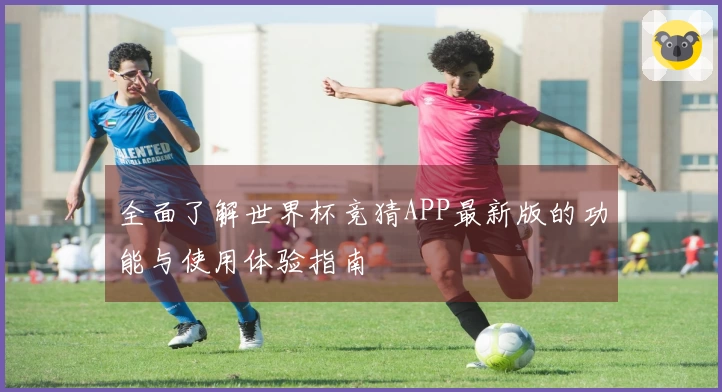 全面了解世界杯竞猜APP最新版的功能与使用体验指南