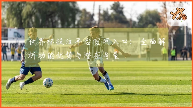 世界杯投注平台官网入口：全面解析功能优势与潜在考量